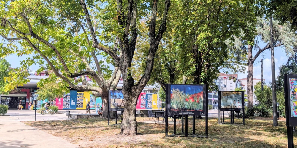 local commercial à LA TESTE DE BUCH (33260)